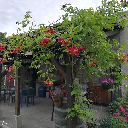Le Coq En Pate Bed & Breakfast Romilly-sur-Seine Exterior photo