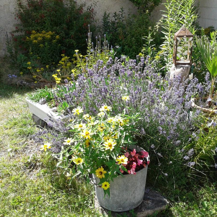 Le Coq En Pate Bed & Breakfast Romilly-sur-Seine Exterior photo